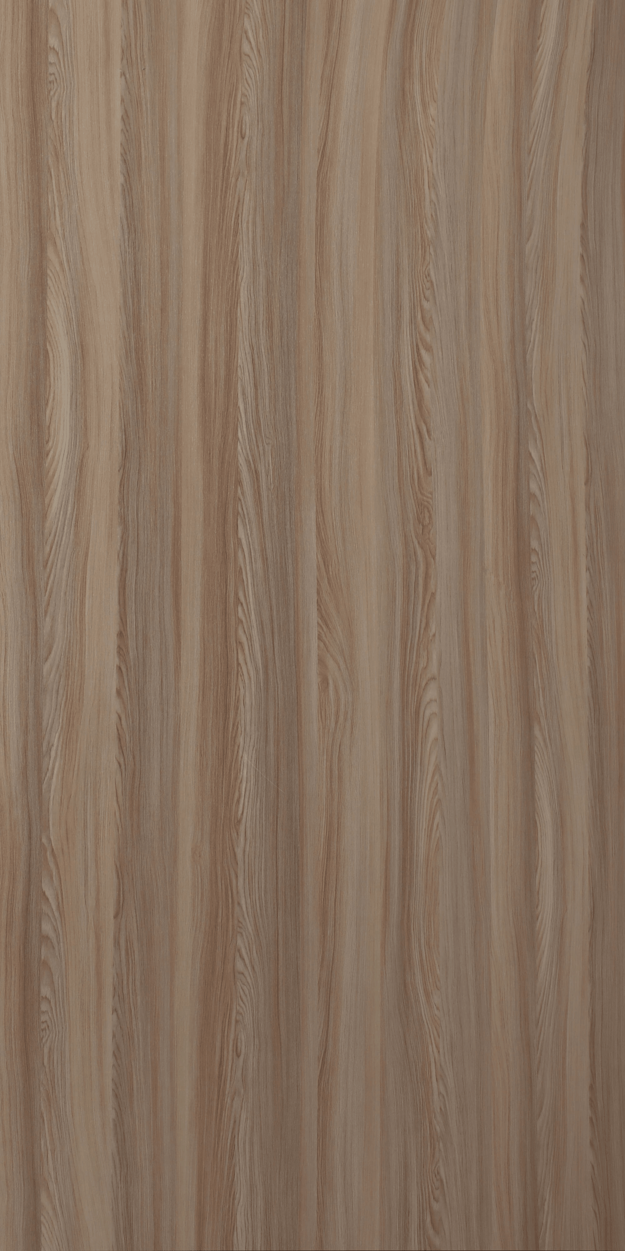 SDL 3009 - High Gloss