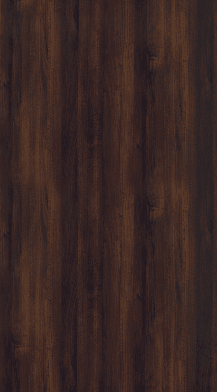 SDL 3019 - High Gloss