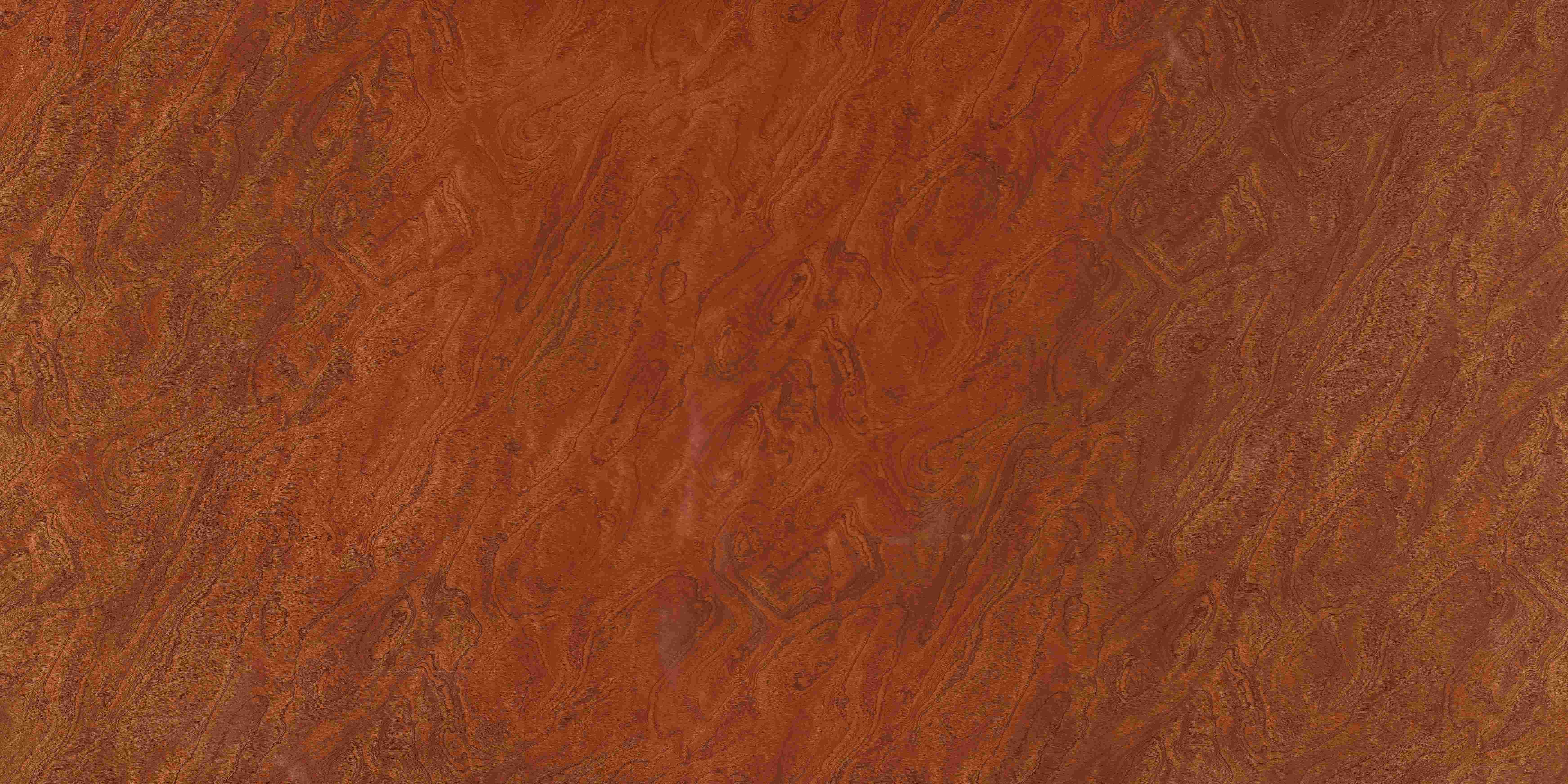 SDL 3058 - High Gloss