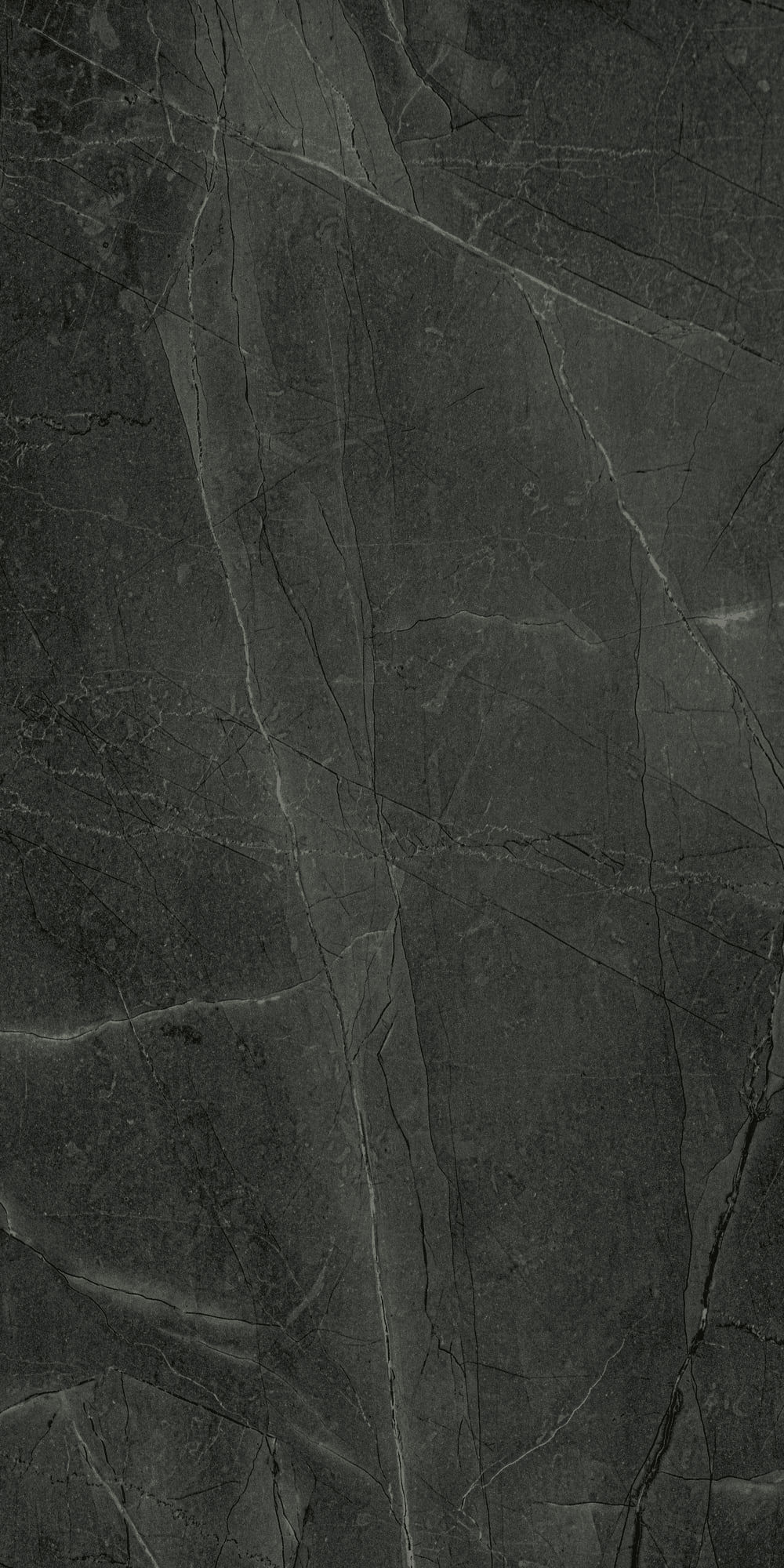 SDL 4006 - High Gloss