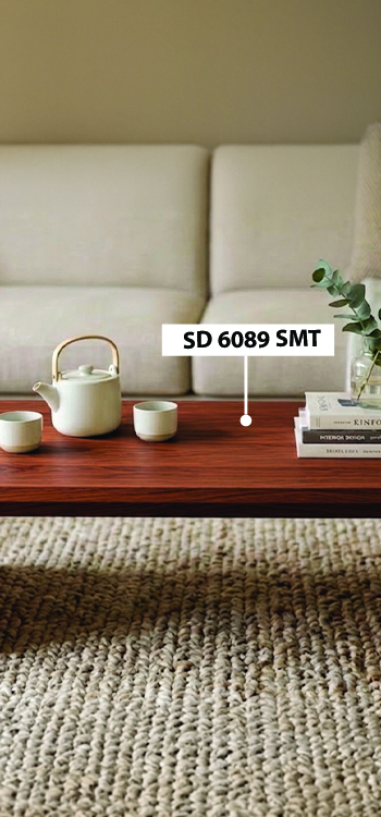SD 6089 view 2