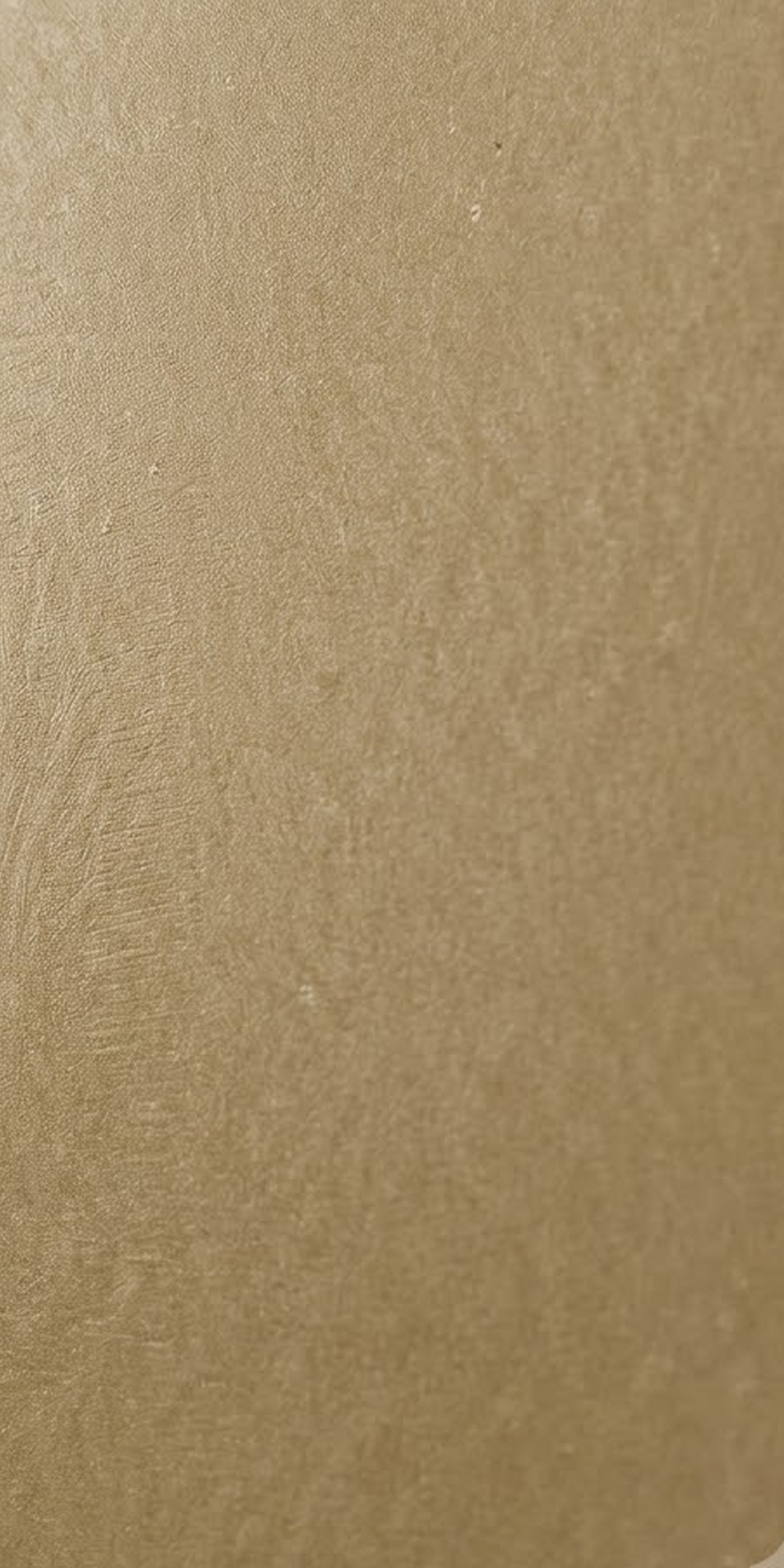 SDM 1084
